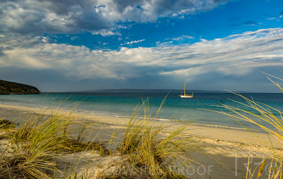 August 2022 / THINKLE_00035