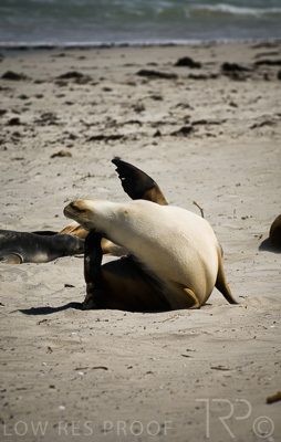 August 2022 / THINKLE_00036