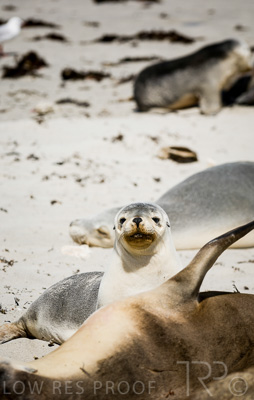 August 2022 / THINKLE_00037