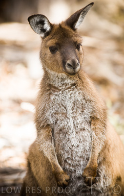 August 2022 / THINKLE_00038