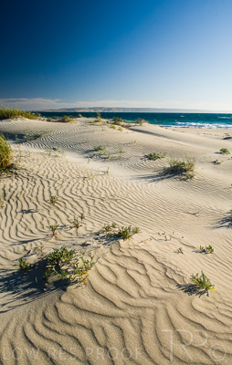 August 2022 / THINKLE_00041