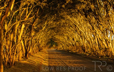 August 2022 / THINKLE_00042