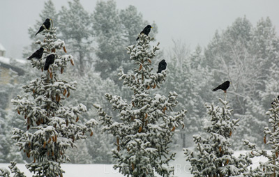 August 2022 / THINKLE_00043