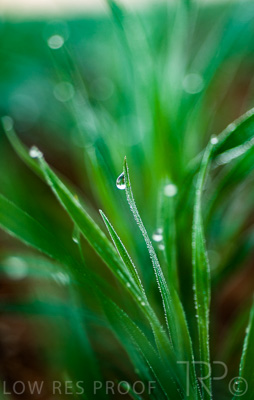 August 2022 / THINKLE_00045