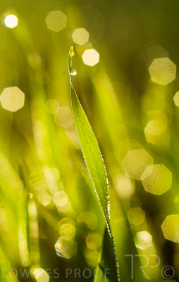 August 2022 / THINKLE_00046