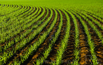 August 2022 / THINKLE_00047