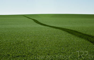 August 2022 / THINKLE_00048