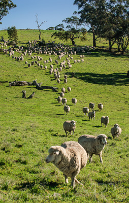 August 2022 / THINKLE_00049