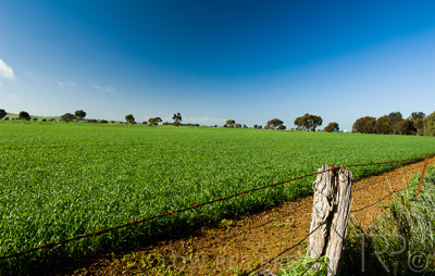 August 2022 / THINKLE_00050