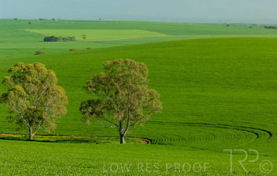 August 2022 / THINKLE_00051