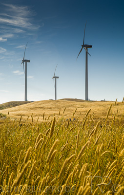 August 2022 / THINKLE_00054