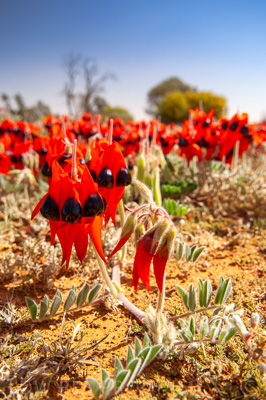 August 2022 / THINKLE_00056