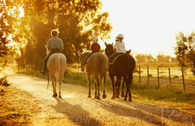 August 2022 / THINKLE_00057