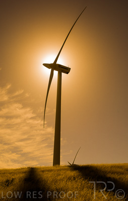 August 2022 / THINKLE_00059