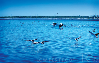 August 2022 / THINKLE_00061