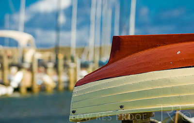 August 2022 / THINKLE_00062