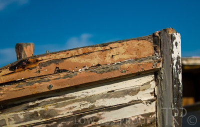 August 2022 / THINKLE_00064