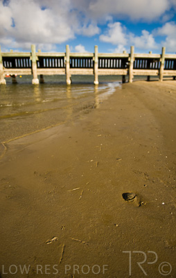 August 2022 / THINKLE_00066