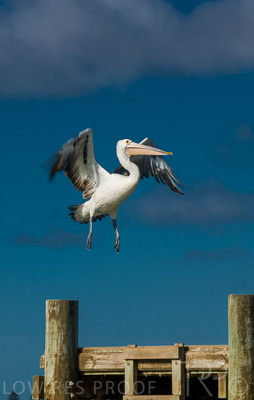 August 2022 / THINKLE_00068