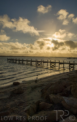 August 2022 / THINKLE_00069