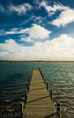 August 2022 / THINKLE_00070