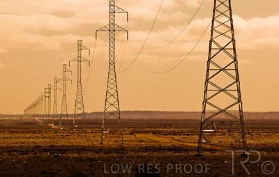 August 2022 / THINKLE_00072