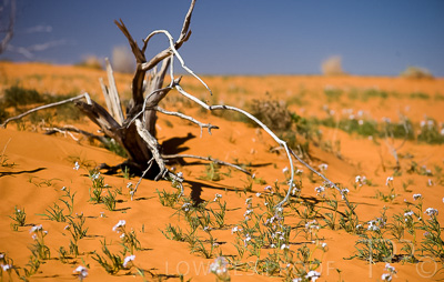 August 2022 / THINKLE_00074