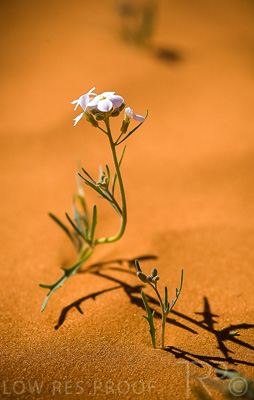 August 2022 / THINKLE_00075