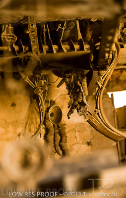 August 2022 / THINKLE_00076