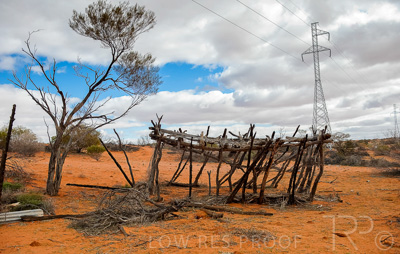 August 2022 / THINKLE_00077