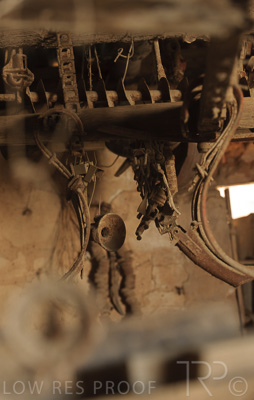 August 2022 / THINKLE_00080