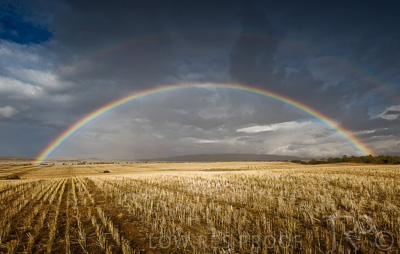 August 2022 / THINKLE_00082