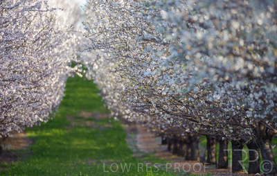 August 2022 / THINKLE_00084