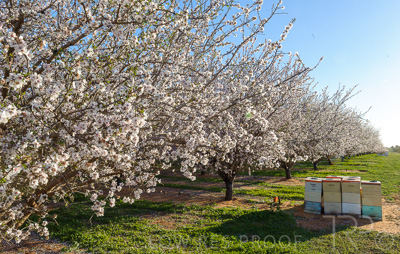 August 2022 / THINKLE_00085