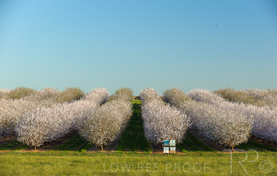 August 2022 / THINKLE_00086