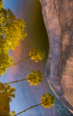 August 2022 / THINKLE_00092