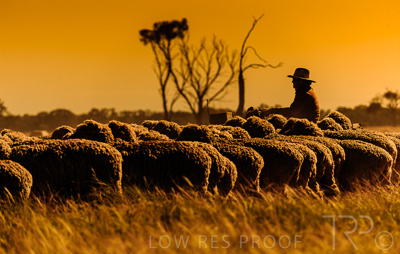 August 2022 / THINKLE_00096