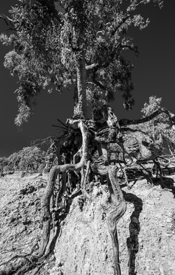 August 2022 / THINKLE_00097