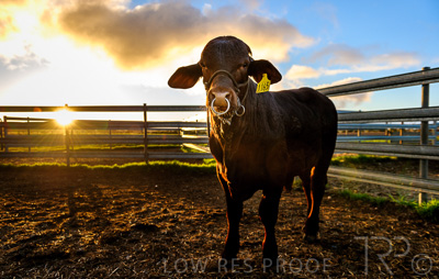 August 2022 / THINKLE_00098