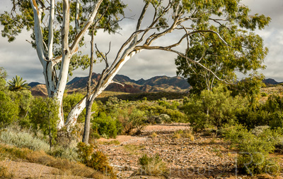 August 2022 / THINKLE_00100