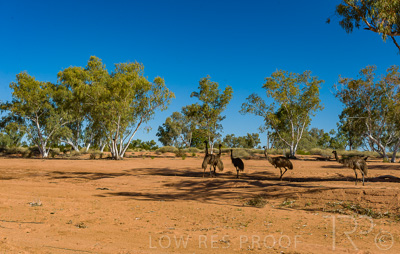 August 2022 / THINKLE_00101