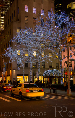 August 2022 / THINKLE_00104