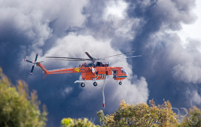 August 2022 / THINKLE_00106