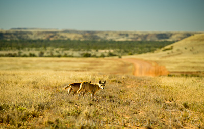 August 2022 / THINKLE_00112