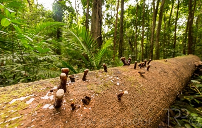 August 2022 / THINKLE_00113