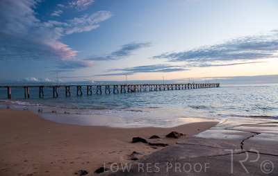 August 2022 / THINKLE_00117