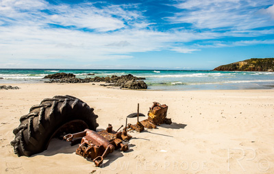 August 2022 / THINKLE_00118