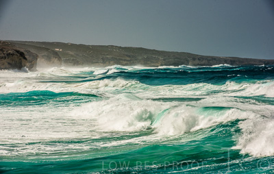 August 2022 / THINKLE_00119