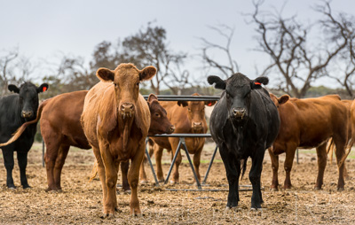 August 2022 / THINKLE_00120