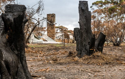 August 2022 / THINKLE_00121